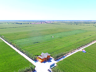 科左中旗現(xiàn)代農(nóng)業(yè)示范園區(qū)