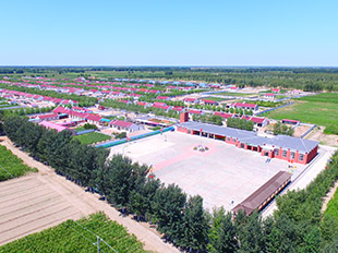 新農(nóng)村敖包蘇木扎如德倉嘎查