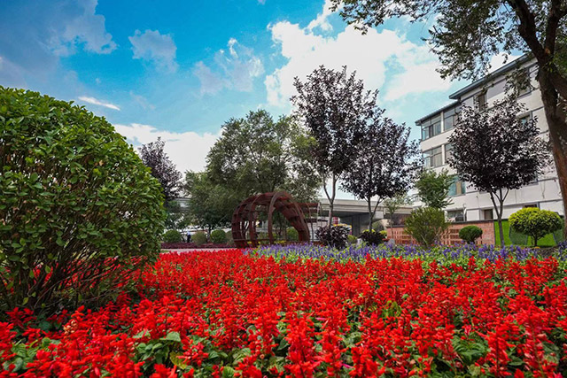 家門(mén)口的口袋公園讓小區(qū)居民樂(lè)享“品質(zhì)生活”