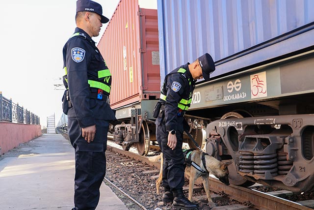 搜毒犬“江麟”查驗(yàn)中歐班列。李發(fā)春攝