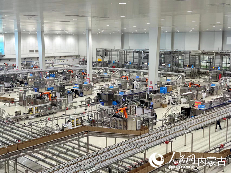 伊利液態(tài)奶全球智造標桿基地生產(chǎn)線。人民網(wǎng)記者 趙夢月攝
