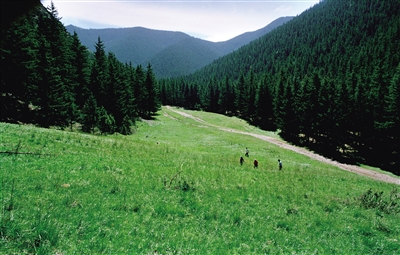 生態(tài)秀美的賀蘭山。