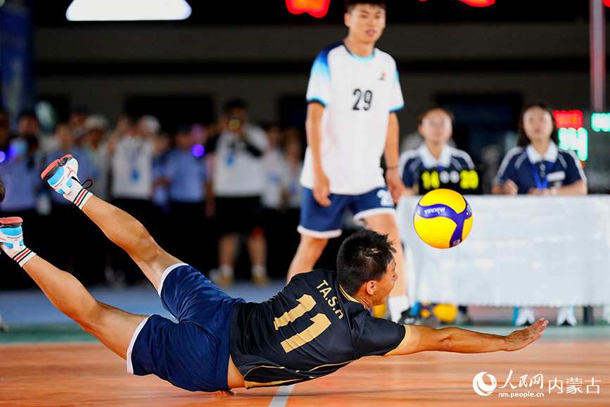 魚躍救球。人民網記者 李睿攝