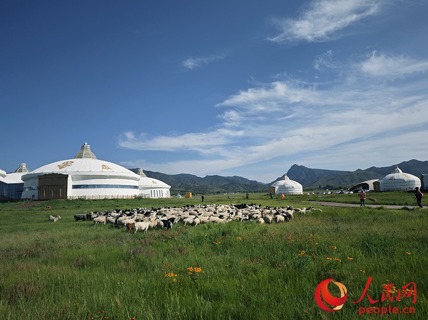 敕勒川草原。人民網(wǎng)記者 劉藝琳攝