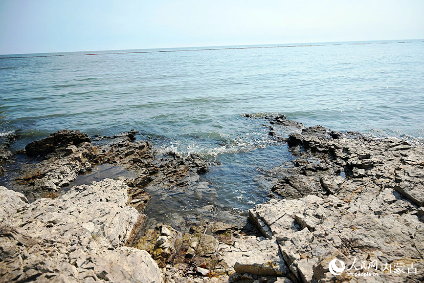 呼倫湖西岸。人民網(wǎng)記者 劉藝琳攝