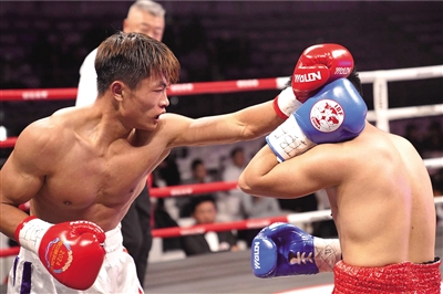 IBF職業拳擊城市爭霸賽。