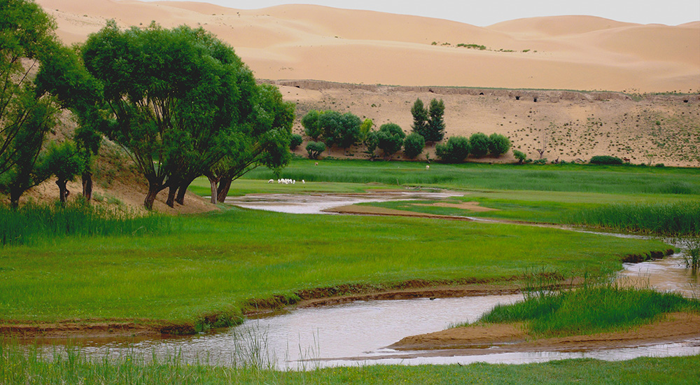 達拉特旗西柳溝