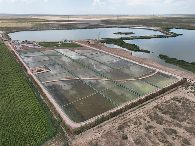 在春夏秋三季，尾水濕地還兼具生態氧吧功能。王亞男攝