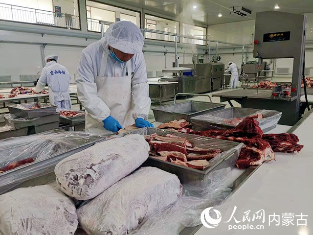 京西農牧業的智慧牧場里，工人正在進行肉牛加工。人民網 孟佳澍攝