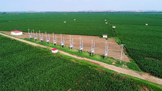 哈拉道口鎮(zhèn)規(guī)模化節(jié)水灌溉水源井井群