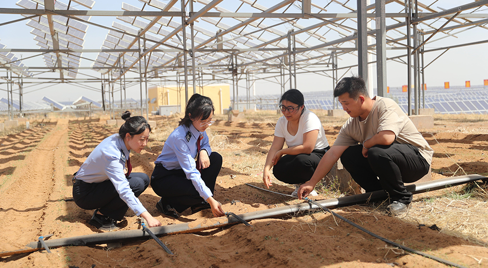 杭錦旗稅務局組織稅務干部深入轄區內光伏企業開展實地調研走訪活動。