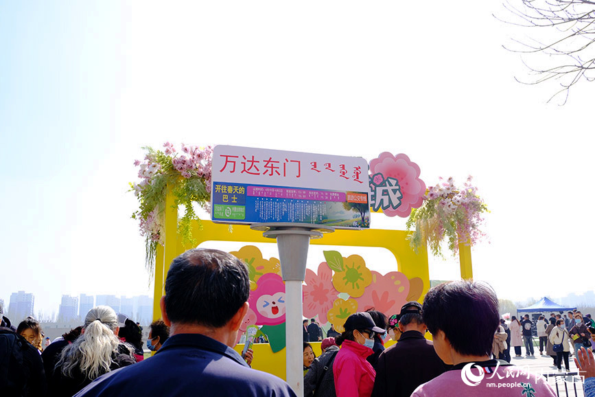 4月19日，呼和浩特市“開往春天的巴士2.0”賞花公交專線運營。人民網記者 劉藝琳攝