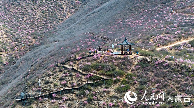 大青山國家登山健身步道。呼和浩特市融媒體中心供圖