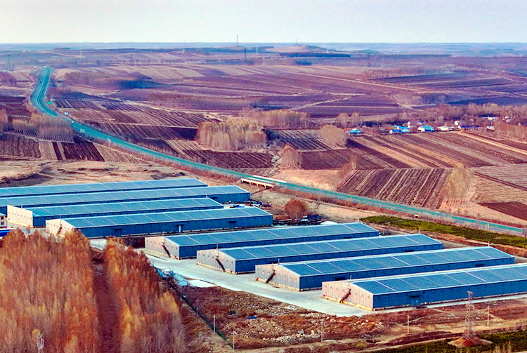 4月27日拍攝的呼倫貝爾市阿榮旗糧食收儲庫屋頂光伏發電站景色(無人機照片)。王正攝