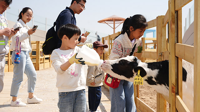 兒童在萌寵樂園喂奶牛。受訪單位供圖
