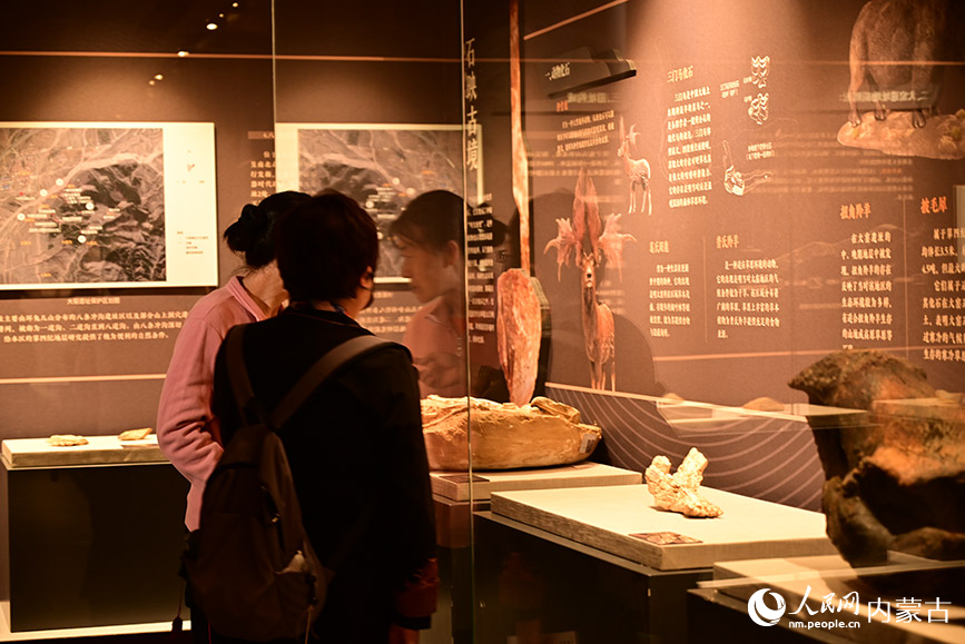 游客正在參觀《石啟北疆·舊石器時代華章——大窯遺址考古成果展》。人民網記者 寇雅楠攝