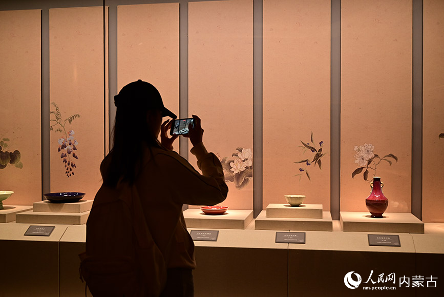 游客正在觀看《盛世之器——清代康雍乾時期景德鎮陶瓷珍品展》。人民網記者 寇雅楠攝
