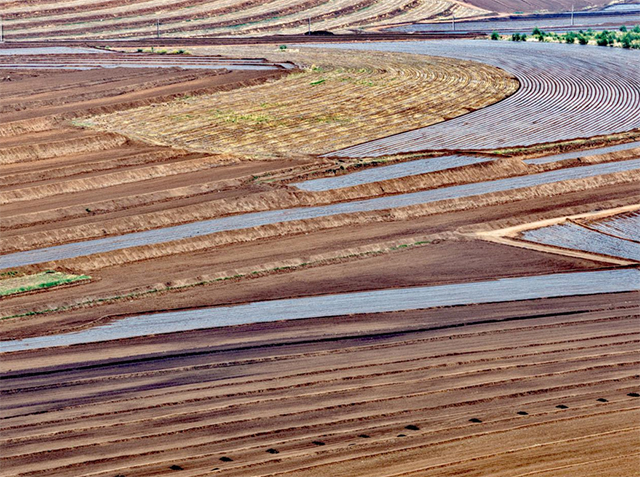 安慶鎮正在建設的高標準農田。張立群攝