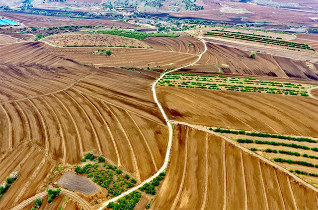 安慶鎮正在建設的高標準農田。張立群攝