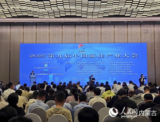 開幕式現場。人民網記者 苗陽攝