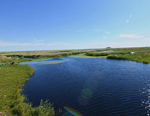 國家級保護區——輝河濕地