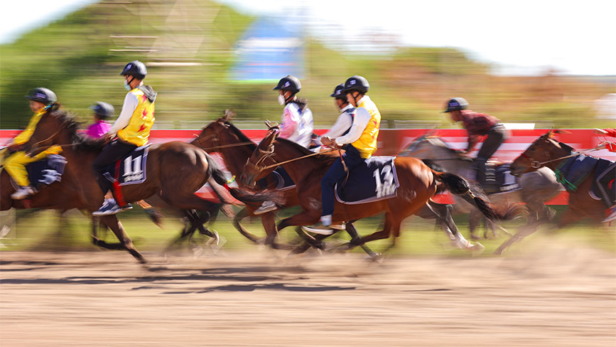 賽馬場上熱情似火