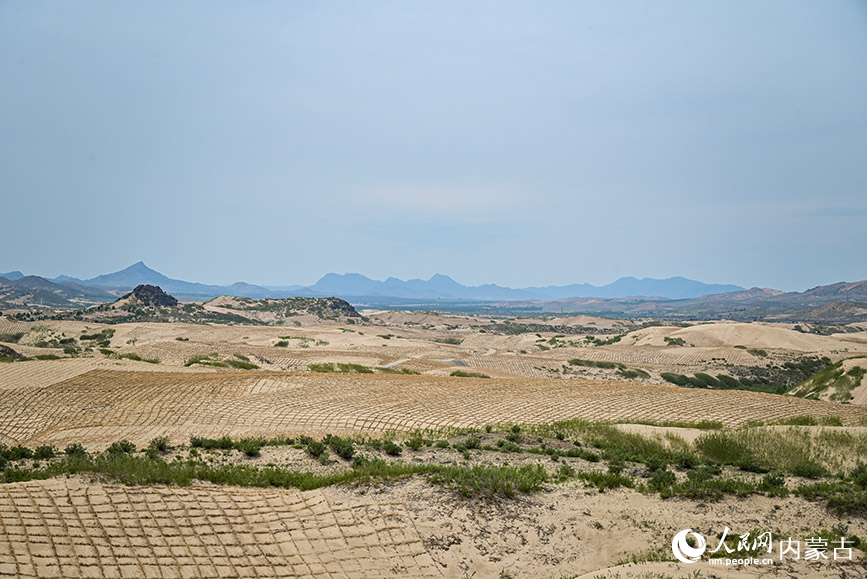 呼勒線穿沙公路周邊正在治理中的沙地。實習生 賈志紅攝