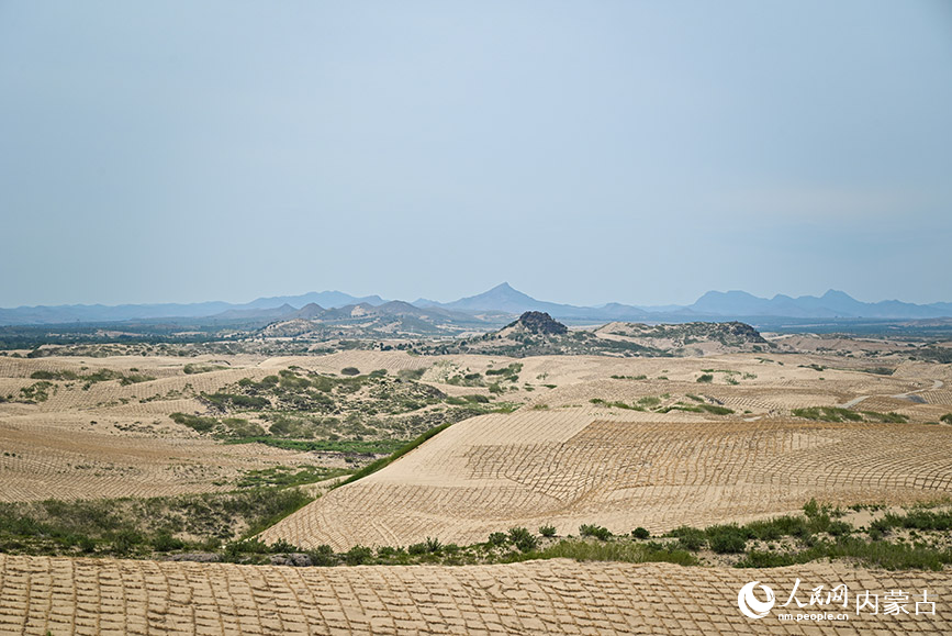 呼勒線穿沙公路周邊正在治理中的沙地。實(shí)習(xí)生 賈志紅攝