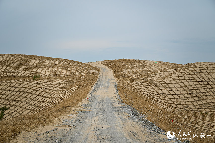 呼勒線穿沙公路周邊正在治理中的沙地。實習生 賈志紅攝
