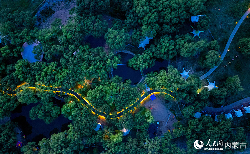 6月16日，呼和浩特市玉泉區大黑河郊野公園“林下空間”美景如畫。丁根厚攝