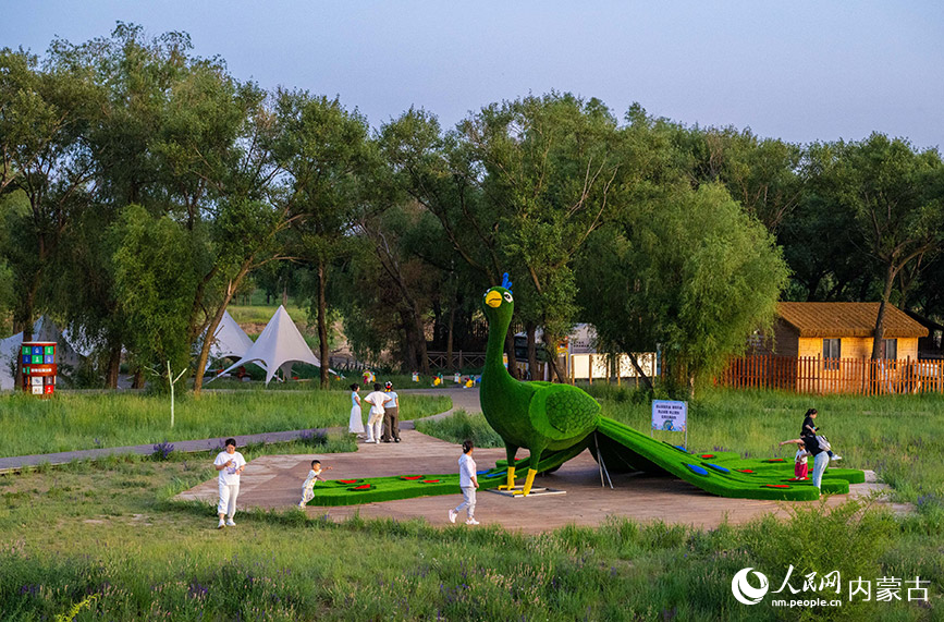6月16日，游人在呼和浩特市玉泉區大黑河郊野公園“林下郊野萌寵樂園”拍照打卡。丁根厚攝