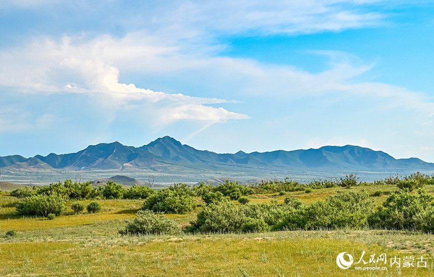 內(nèi)蒙古赤峰市巴林右旗肉羊產(chǎn)業(yè)園外。實(shí)習(xí)生 賈志紅攝