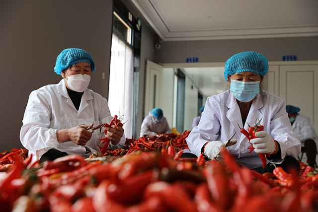 科右前旗特色產業帶領村民致富