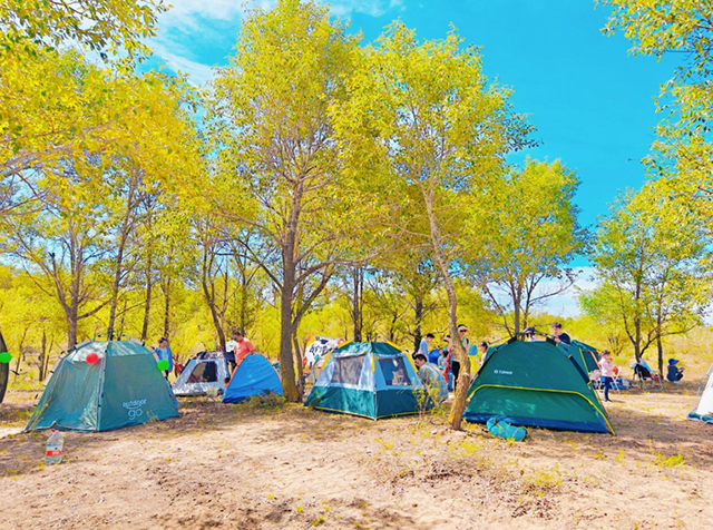 “童” 頻聚合力打造兒童友好城市。