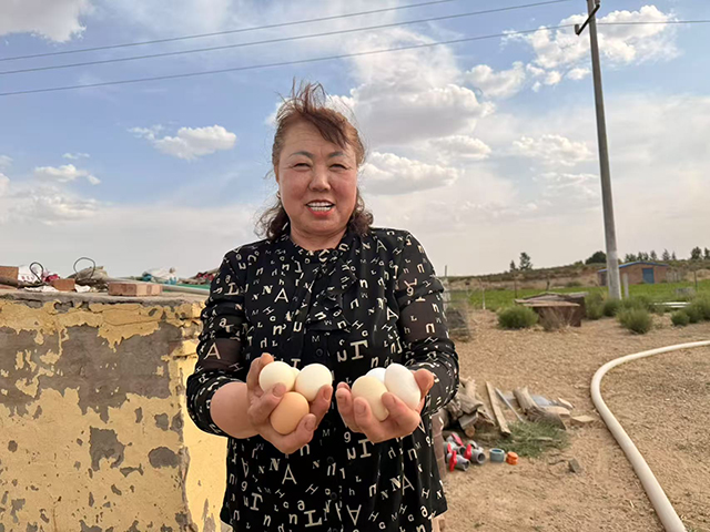 曹翠英靠土雞養殖，日子越過越紅火。鄂托克旗委宣傳部供圖
