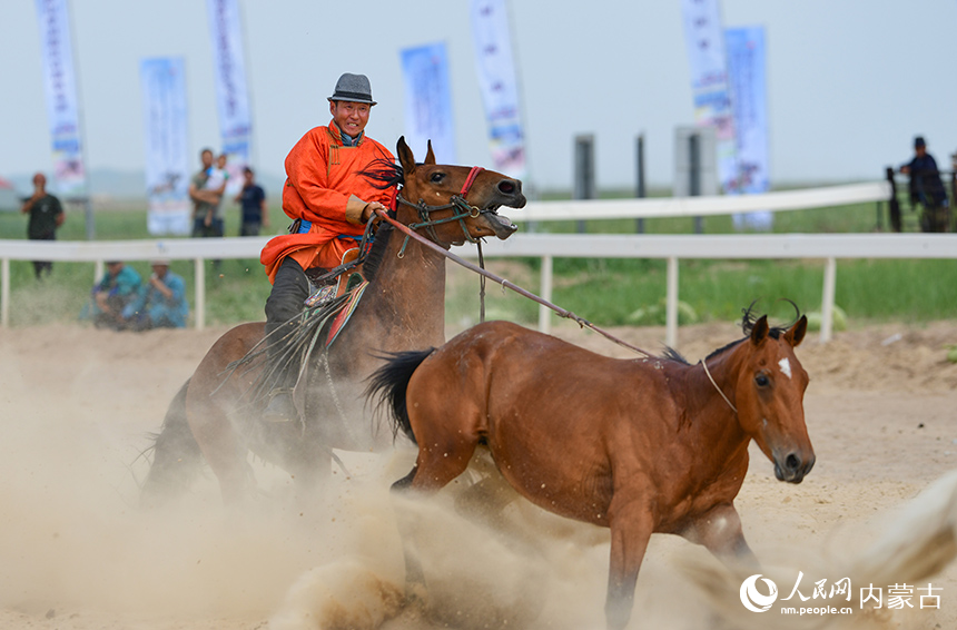 騎手在比賽中套馬。王正攝