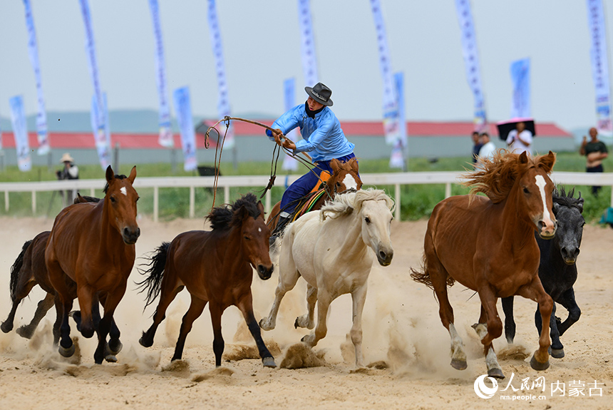 騎手在比賽中套馬。王正攝