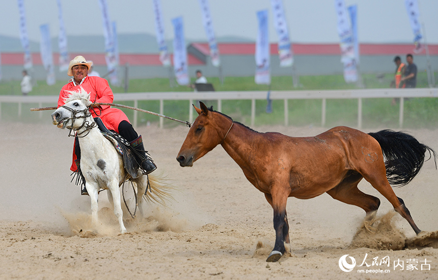 騎手在比賽中套馬。王正攝