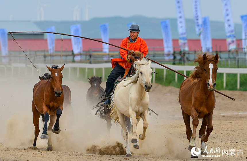 騎手在比賽中套馬。王正攝