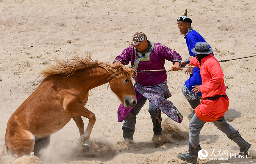騎手在比賽中馴馬。王正攝