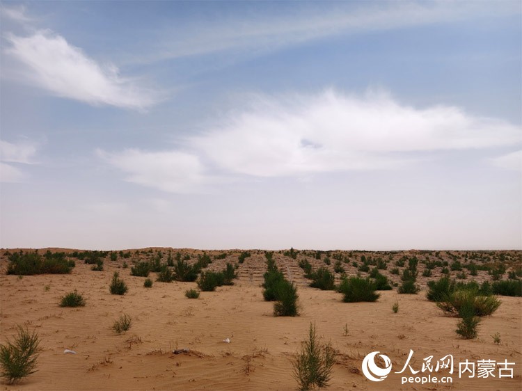 阿拉善左旗騰格里沙漠東南緣治沙前沿。阿拉善盟委宣傳部供圖
