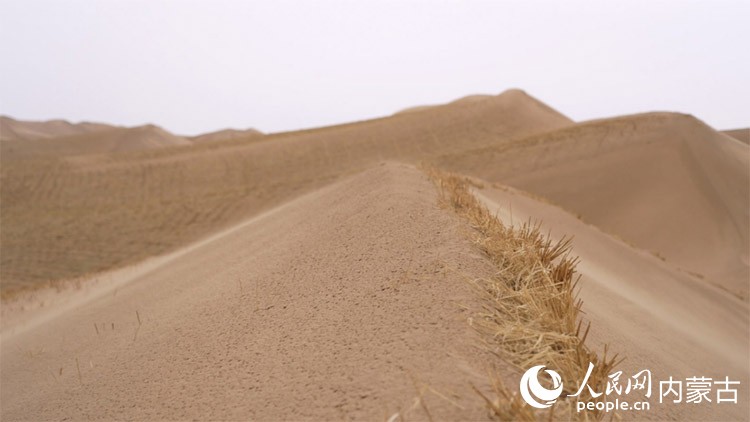 草方格固沙技術。阿拉善盟委宣傳部供圖