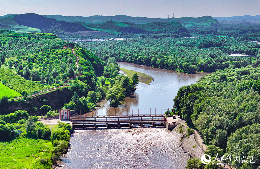洮兒河國家濕地公園景色。王正攝