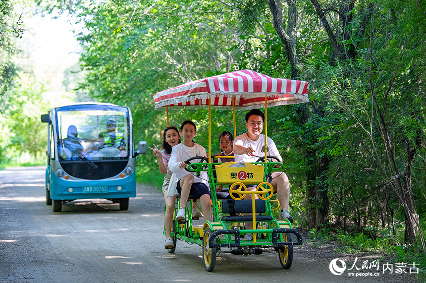 游人在洮兒河國家濕地公園騎車游覽。王正攝