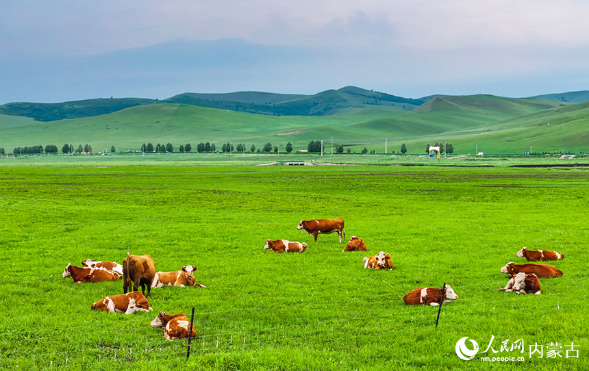 烏蘭毛都草原風光。王正攝