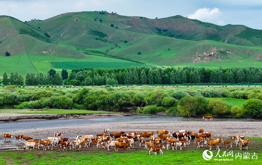 烏蘭毛都草原風(fēng)光。王正攝