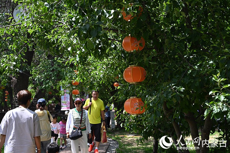 游客在烏素圖杏花谷散步游玩。人民網記者 劉藝琳攝