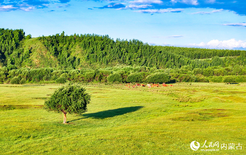 免渡河國家濕地公園風(fēng)光。王正攝