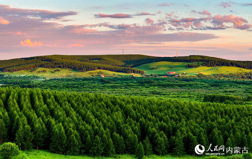 免渡河國家濕地公園風光。王正攝