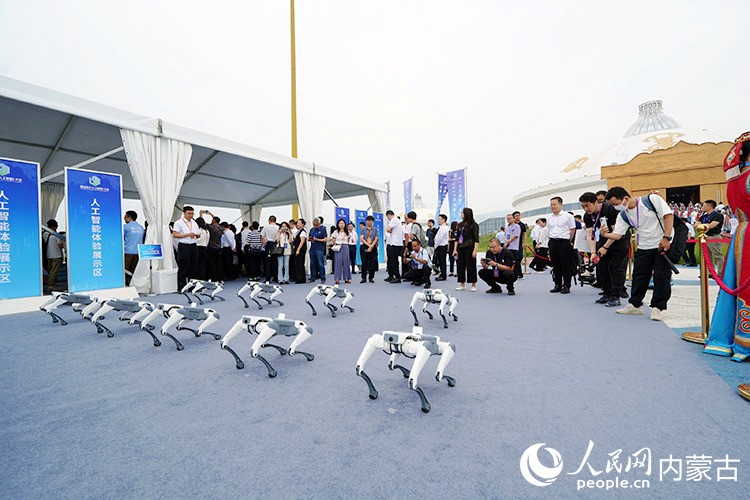 人工智能體驗展示區。人民網記者 齊浩男攝